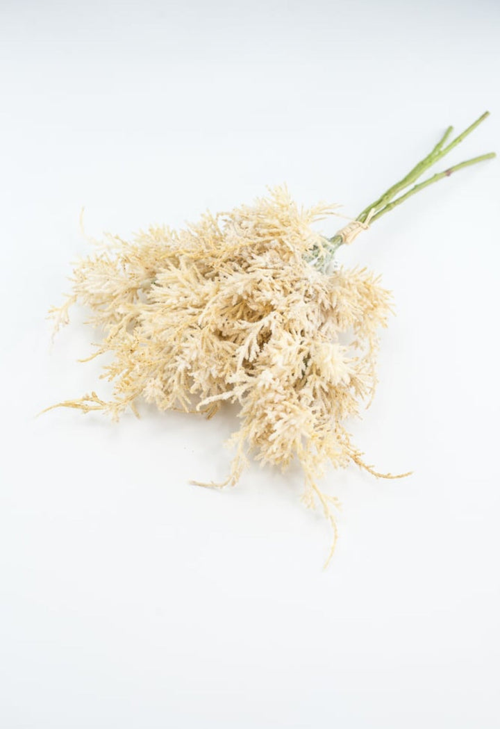 Wheat Grass Bundle - Cream - Greenery Market27880