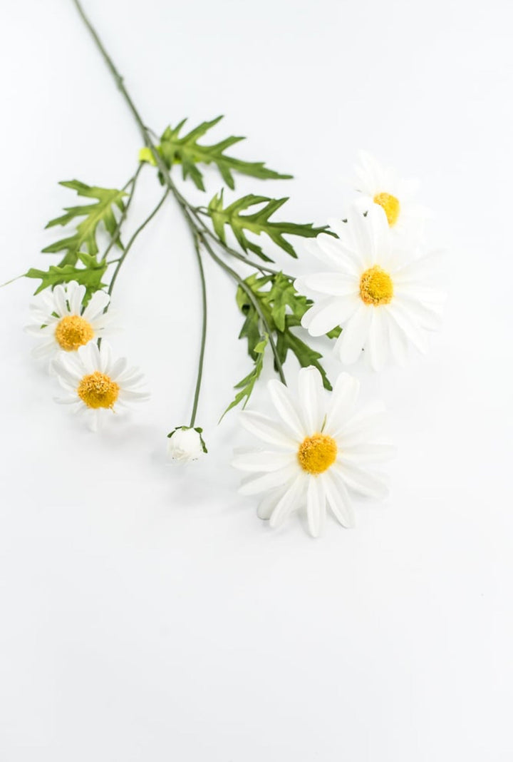 White Daisy Spray - Greenery Market29468CM
