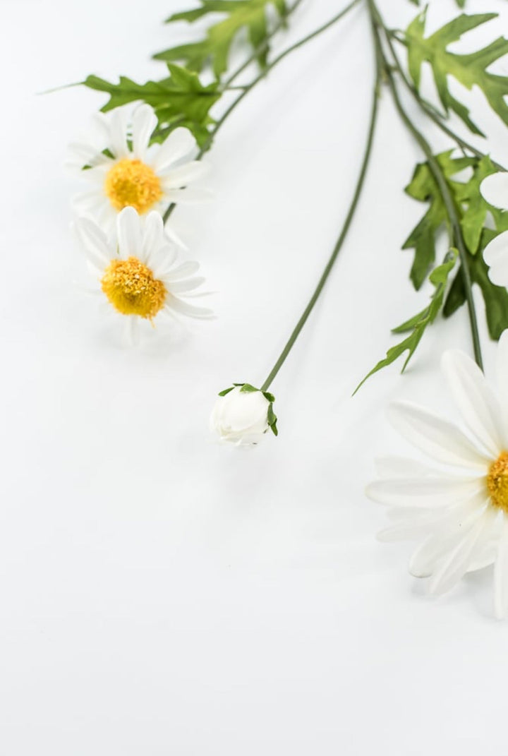 White Daisy Spray - Greenery Market29468CM