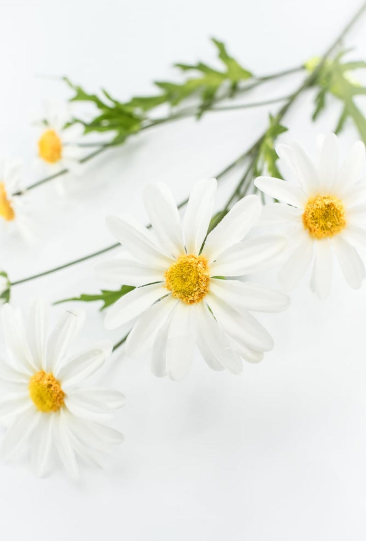 White Daisy Spray - Greenery Market29468CM