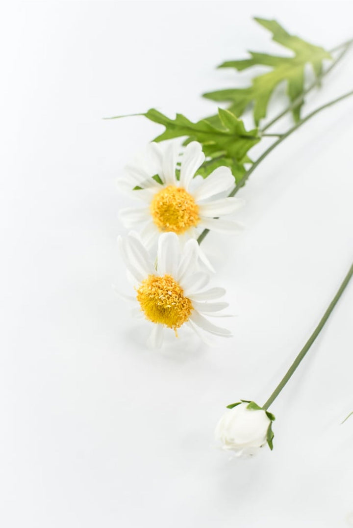 White Daisy Spray - Greenery Market29468CM