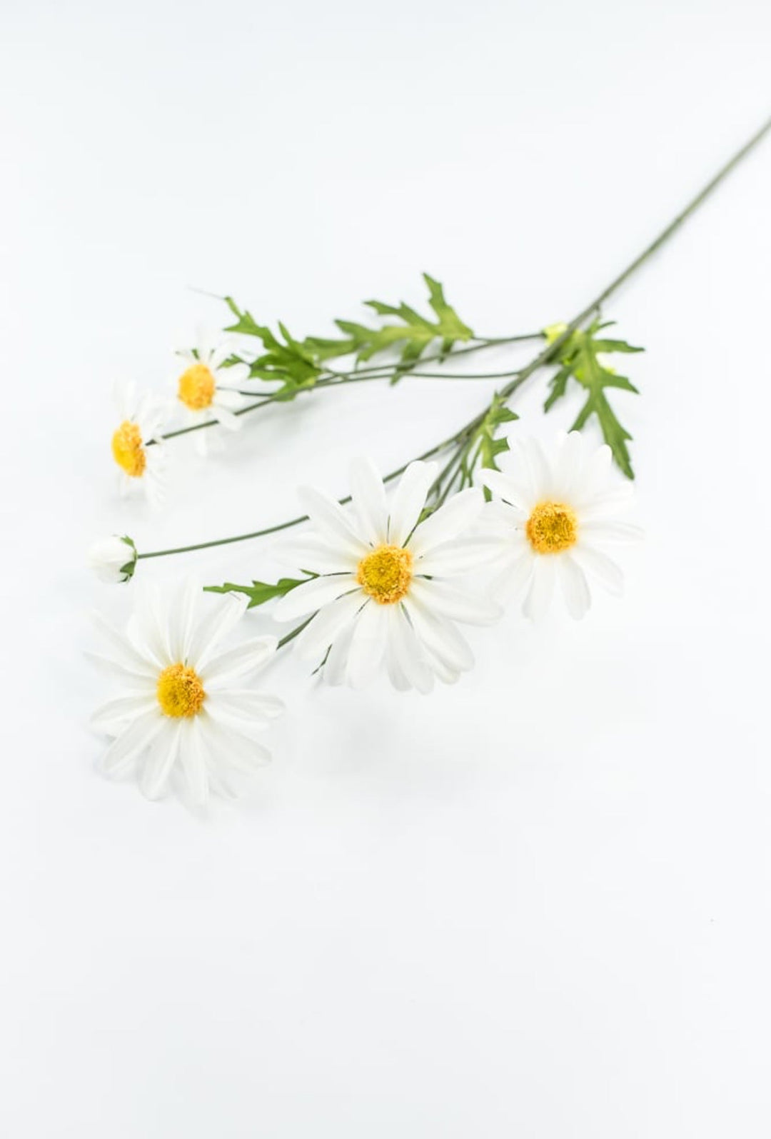 White Daisy Spray - Greenery Market29468CM