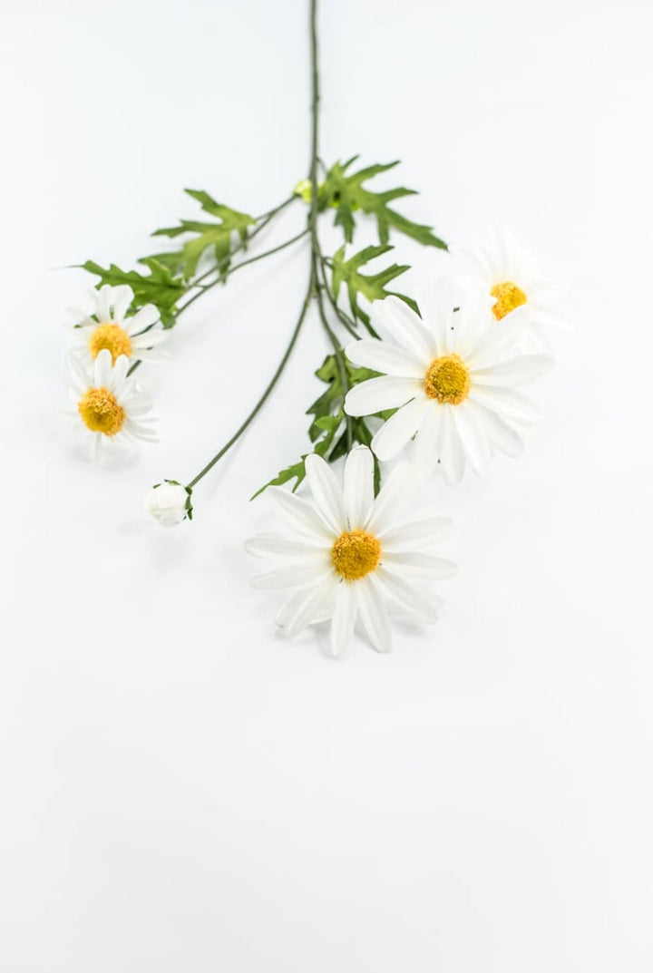 White Daisy Spray - Greenery Market29468CM