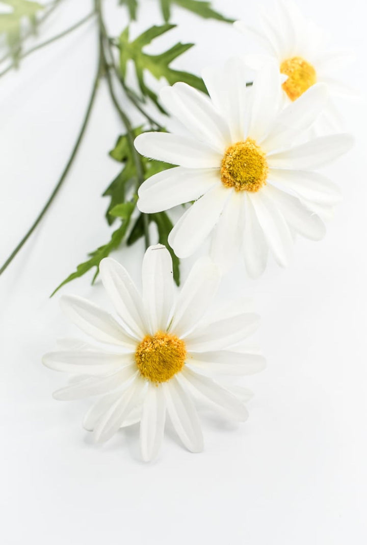 White Daisy Spray - Greenery Market29468CM