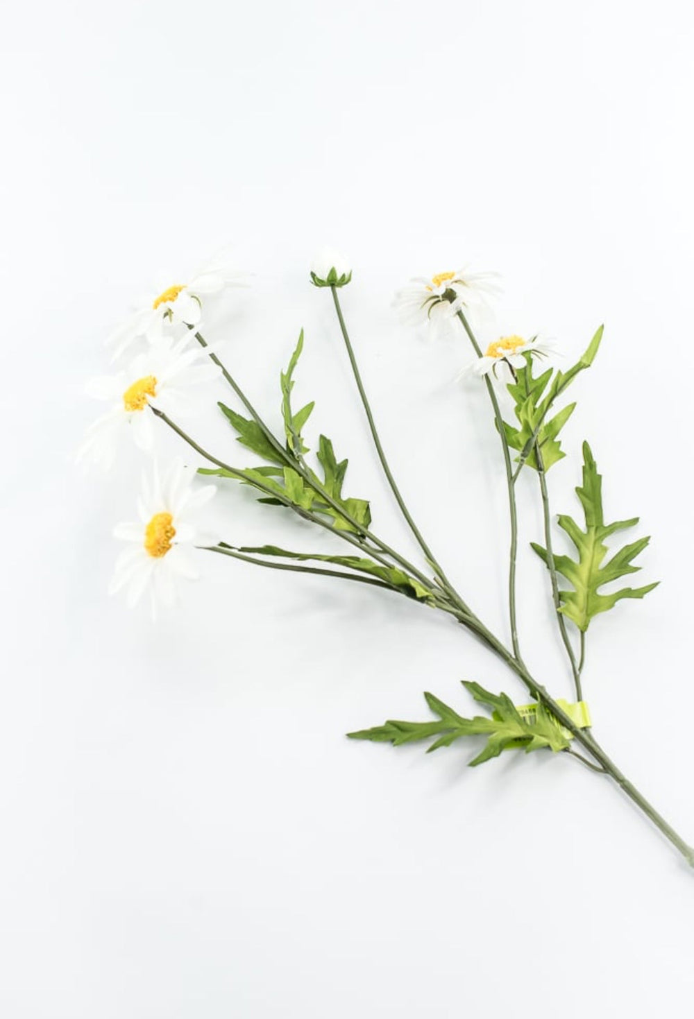 White Daisy Spray - Greenery Market29468CM