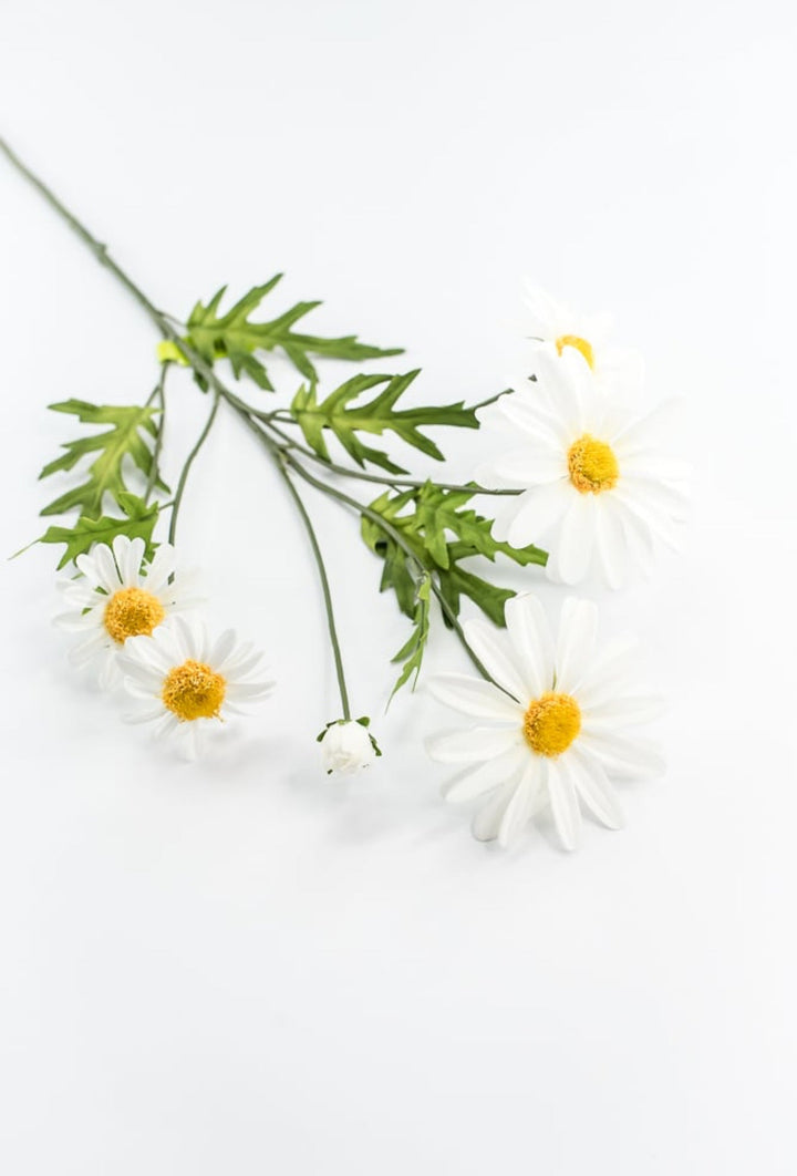 White Daisy Spray - Greenery Market29468CM