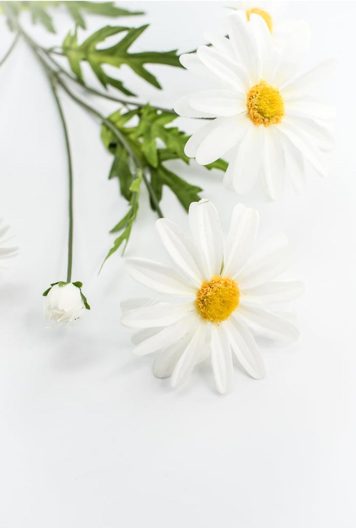 White Daisy Spray - Greenery Market29468CM