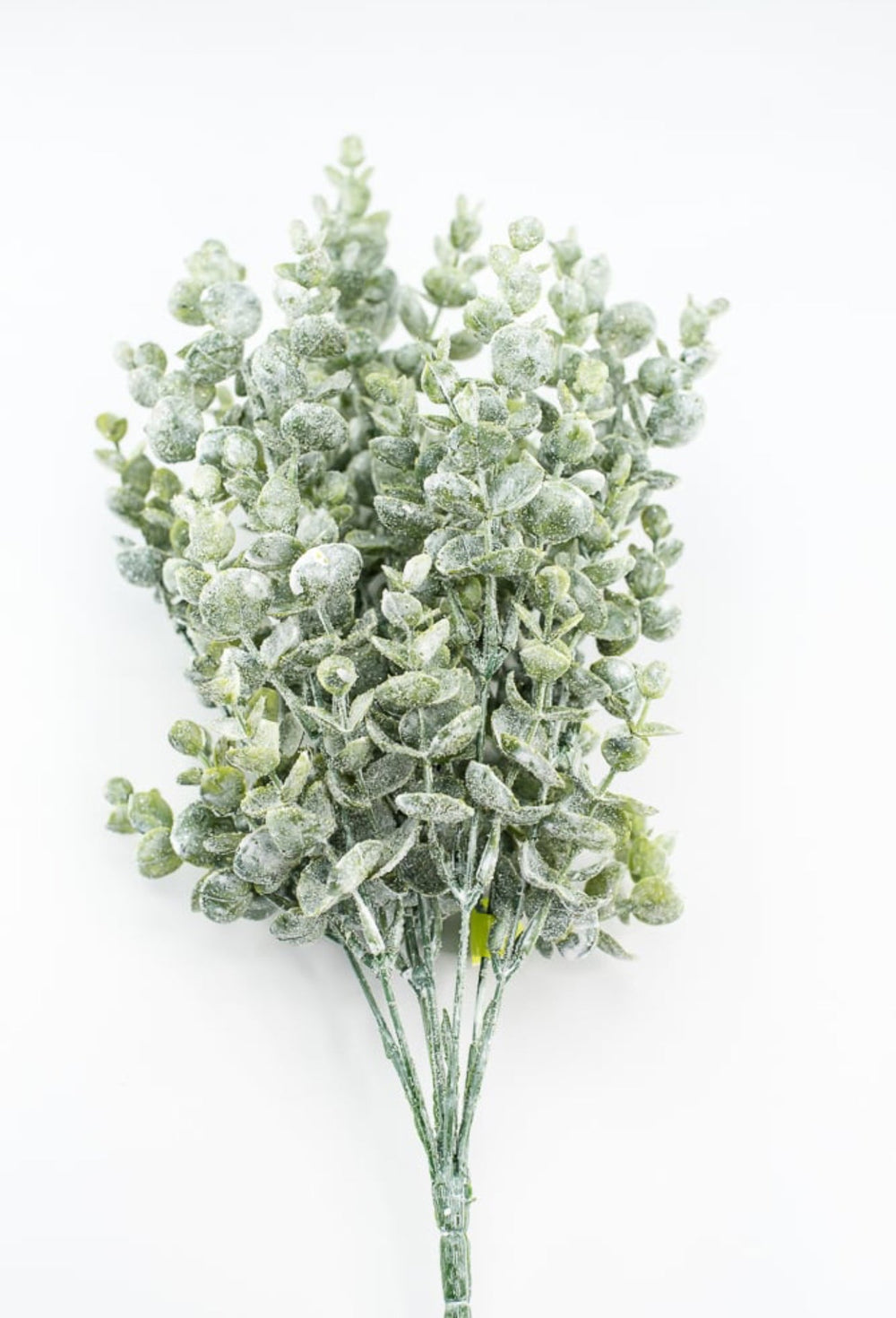 White Frosted Eucalyptus Bush - Greenery MarketGreenery85042WT