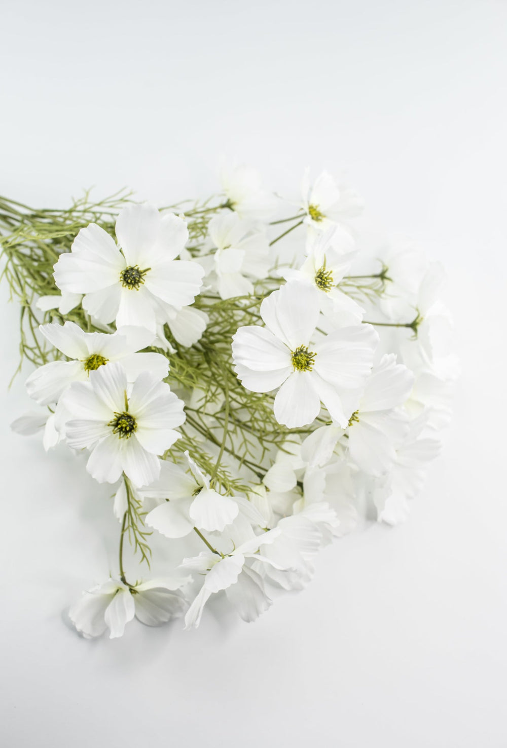 White Garden Cosmos Bush - Greenery Market63664CM