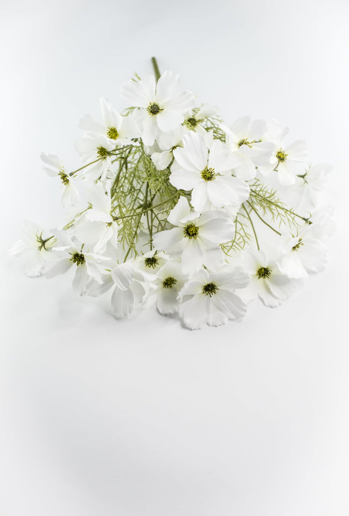 White Garden Cosmos Bush - Greenery Market63664CM