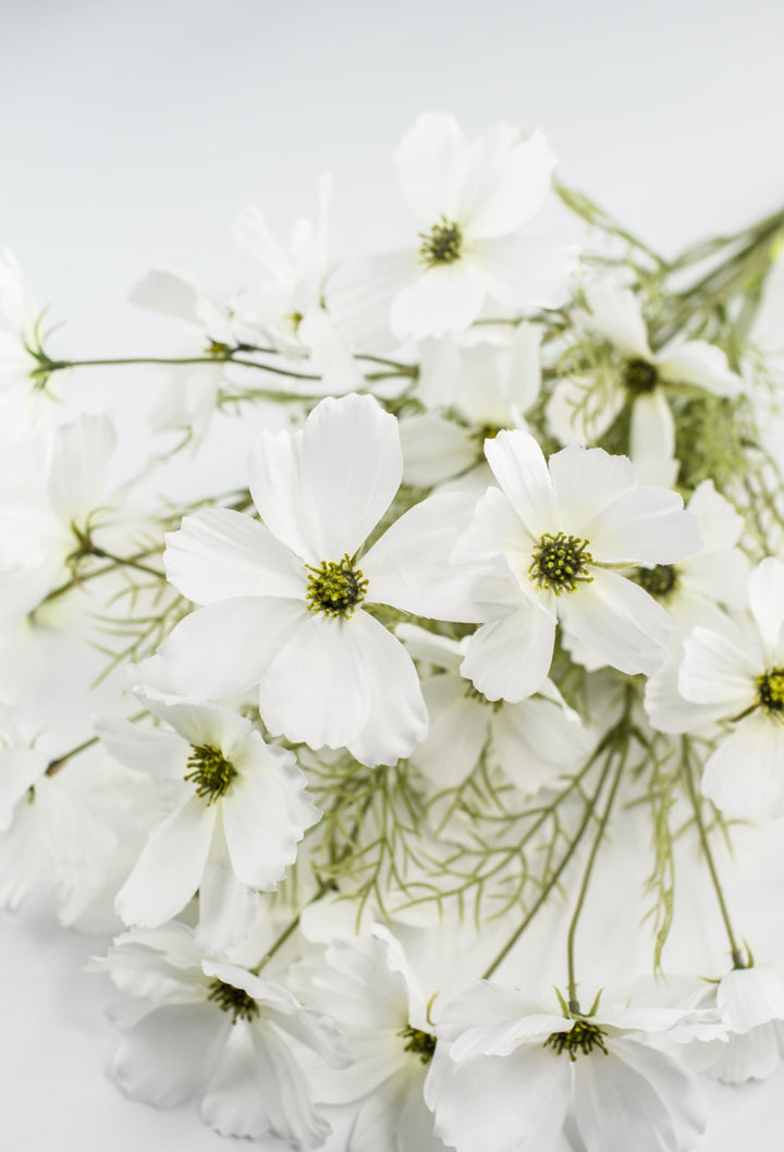 White Garden Cosmos Bush - Greenery Market63664CM
