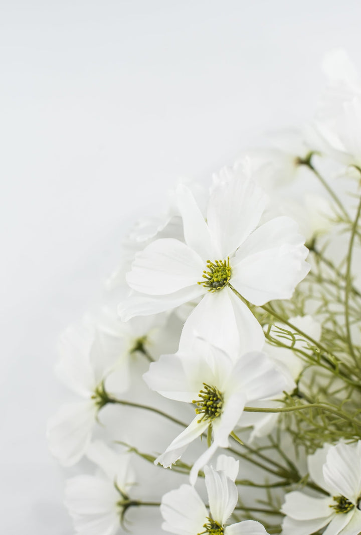 White Garden Cosmos Bush - Greenery Market63664CM