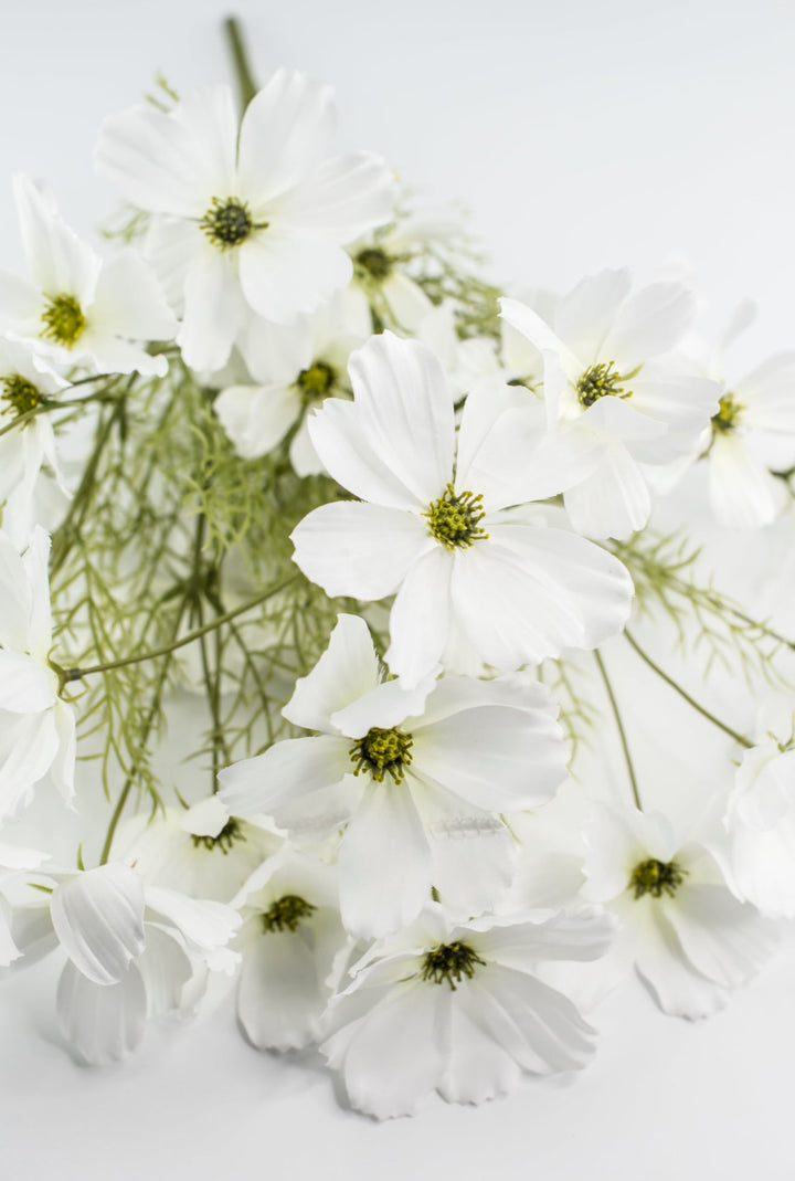 White Garden Cosmos Bush - Greenery Market63664CM