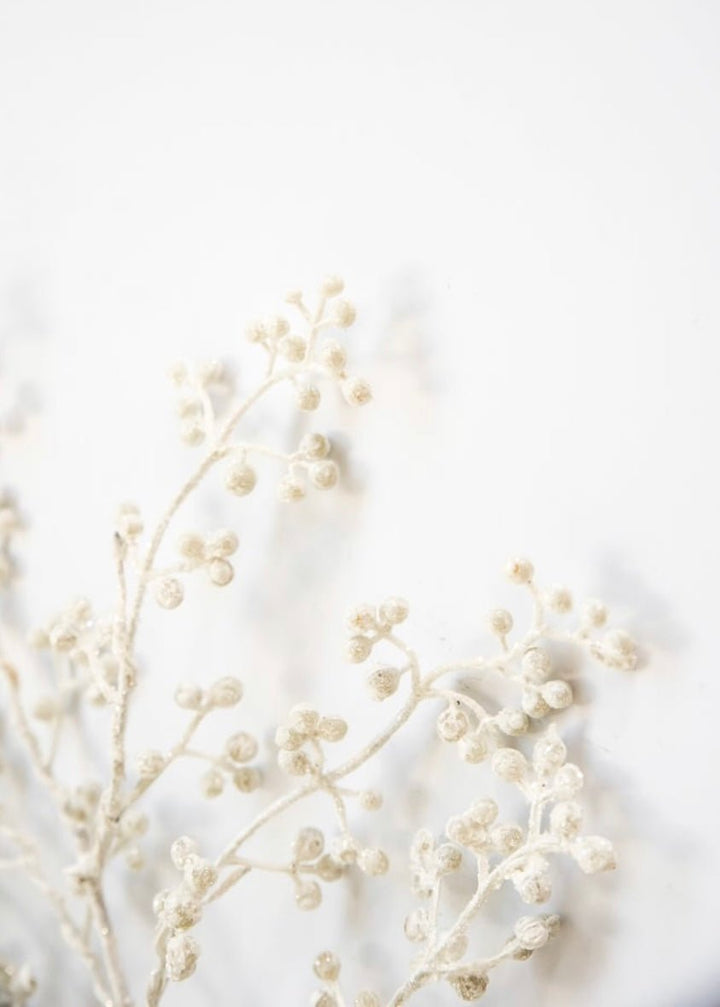 White glittered seed spray - Greenery MarketXg447 - wh