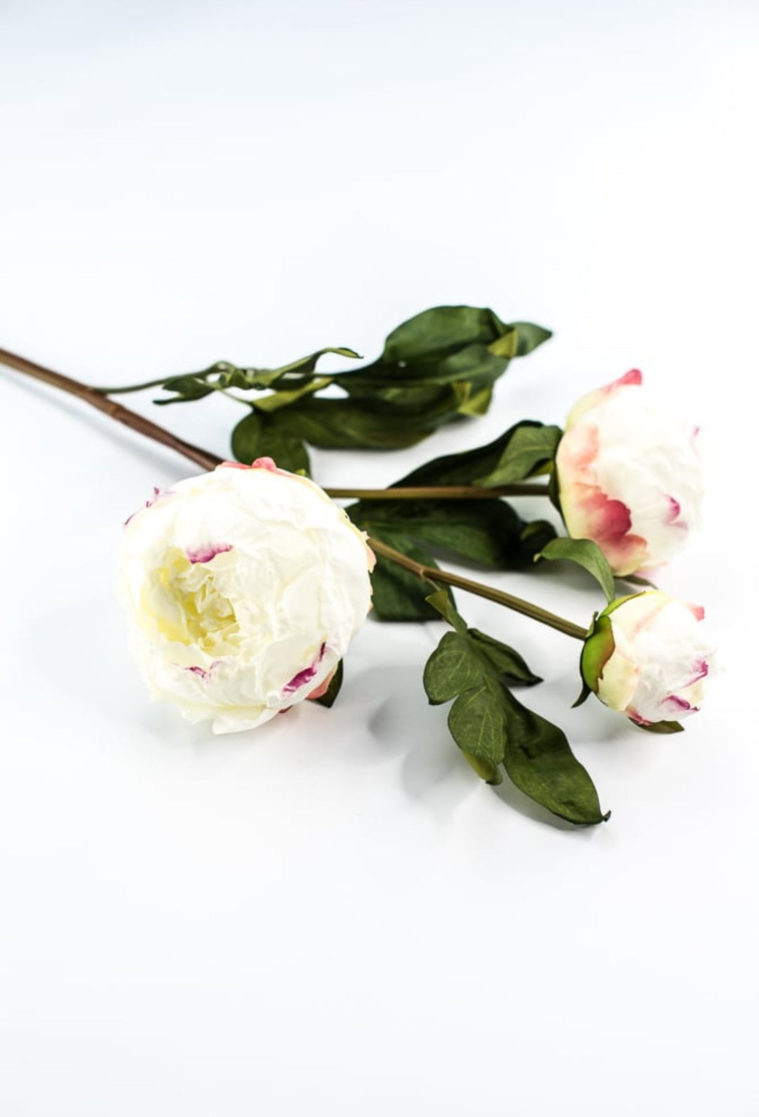 White peony spray - Greenery MarketArtificial Flora174026
