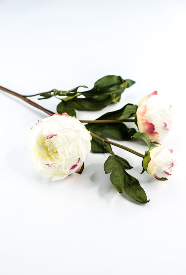 White peony spray - Greenery MarketArtificial Flora174026