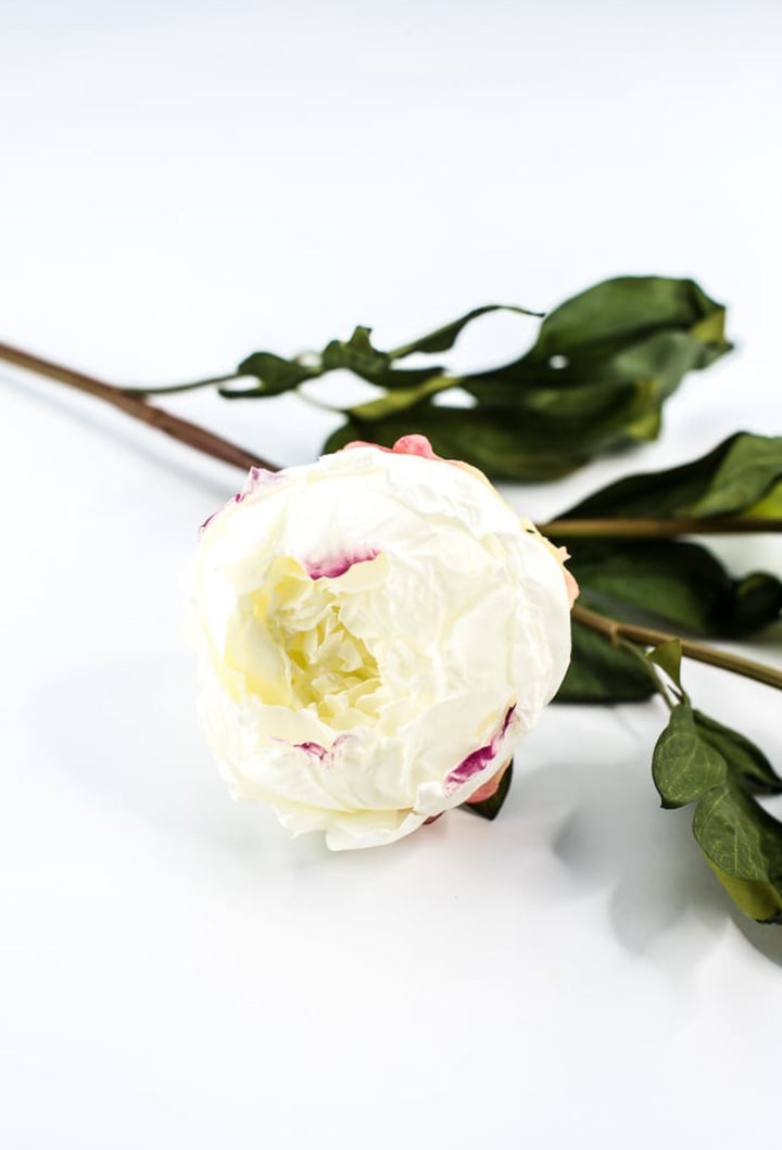 White peony spray - Greenery MarketArtificial Flora174026