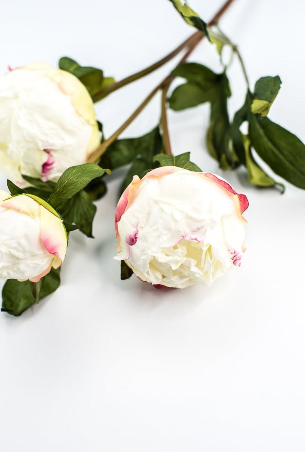White peony spray - Greenery MarketArtificial Flora174026