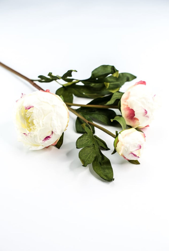 White peony spray - Greenery MarketArtificial Flora174026