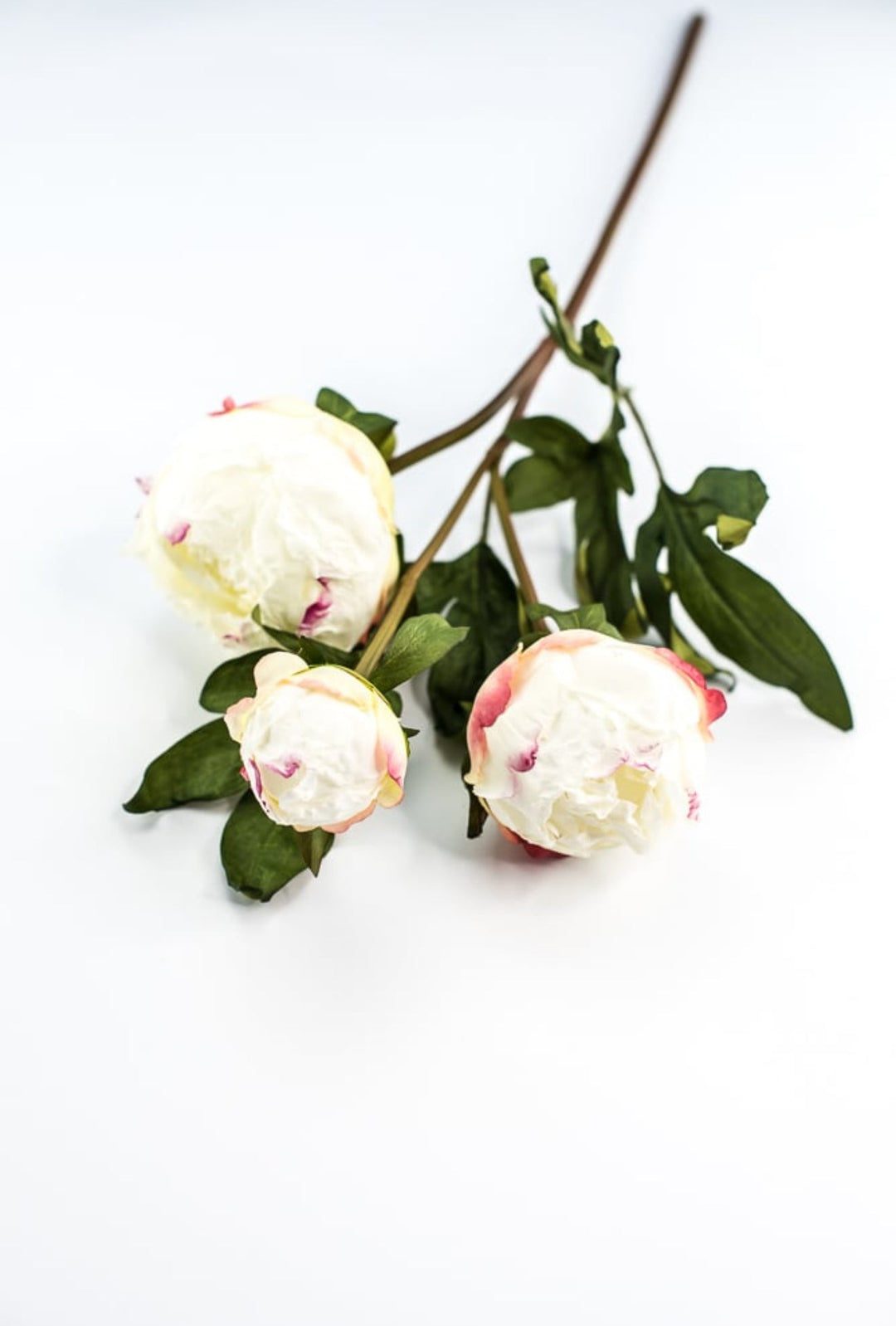 White peony spray - Greenery MarketArtificial Flora174026