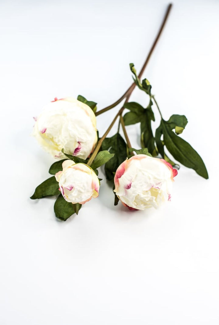 White peony spray - Greenery MarketArtificial Flora174026