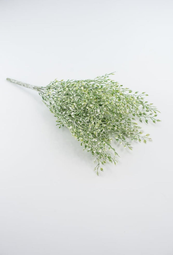 White tipped button vine leaves greenery bush - Greenery MarketArtificial Flora2825239LG