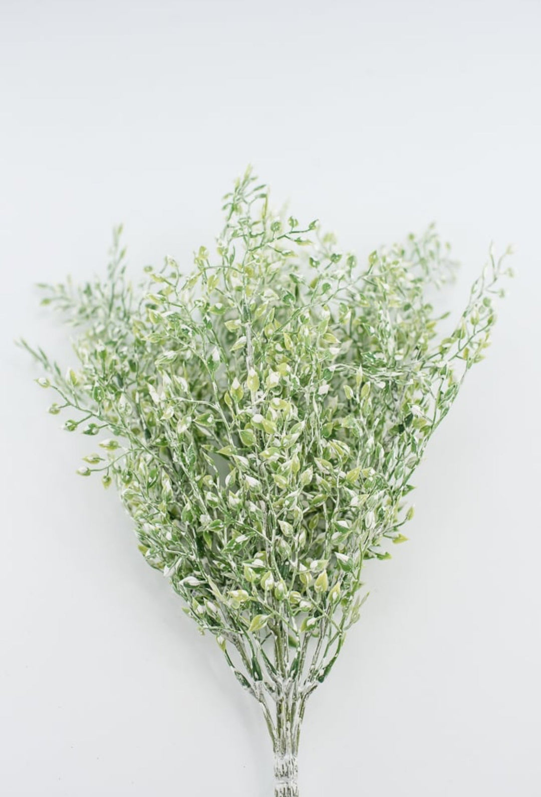 White tipped button vine leaves greenery bush - Greenery MarketArtificial Flora2825239LG