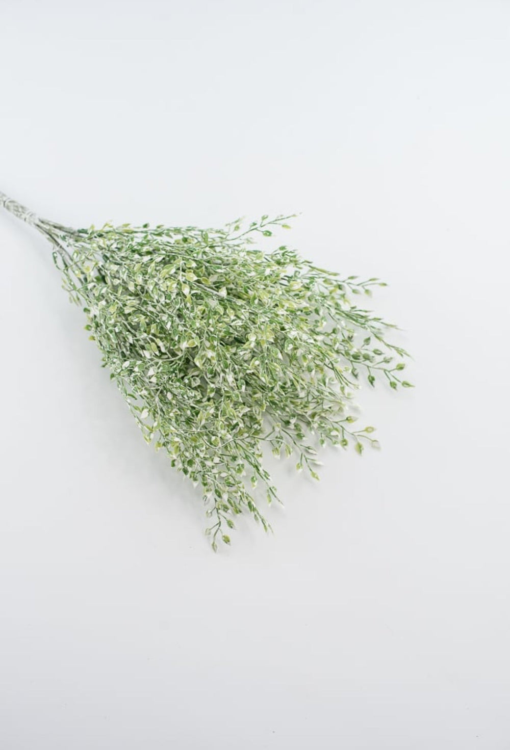 White tipped button vine leaves greenery bush - Greenery MarketArtificial Flora2825239LG