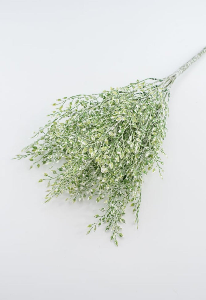 White tipped button vine leaves greenery bush - Greenery MarketArtificial Flora2825239LG