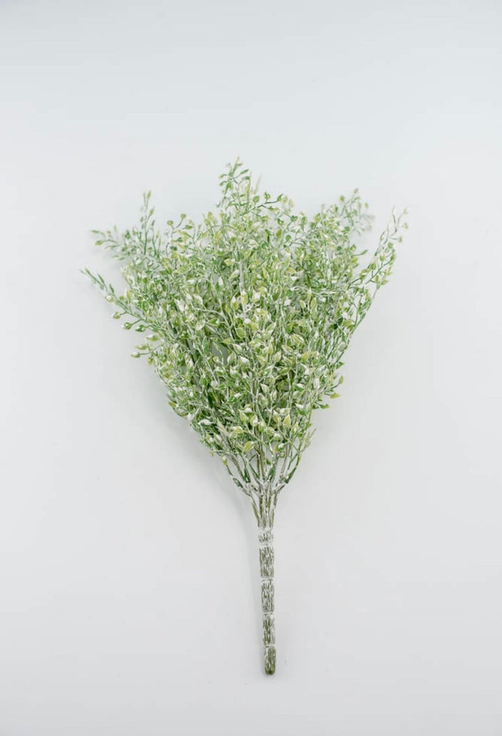 White tipped button vine leaves greenery bush - Greenery MarketArtificial Flora2825239LG