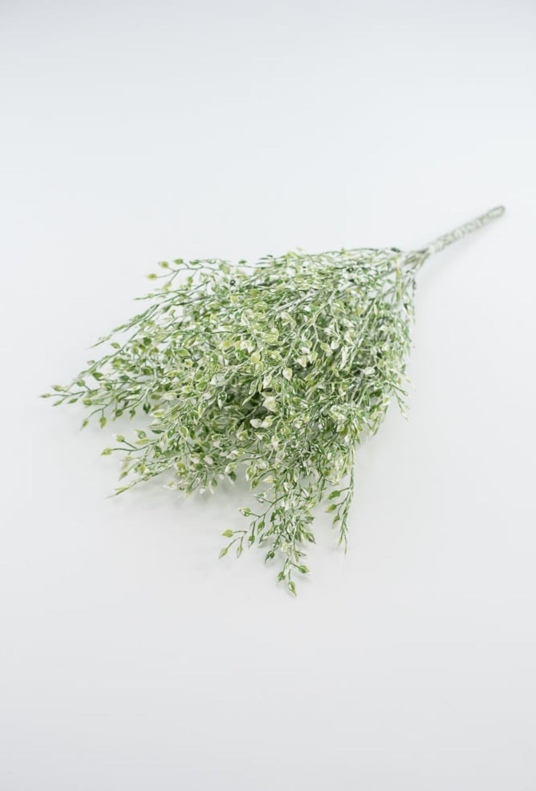 White tipped button vine leaves greenery bush - Greenery MarketArtificial Flora2825239LG