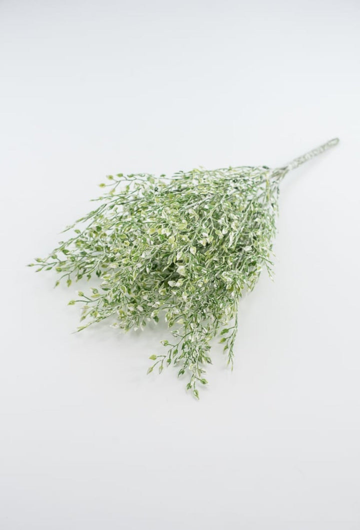 White tipped button vine leaves greenery bush - Greenery MarketArtificial Flora2825239LG