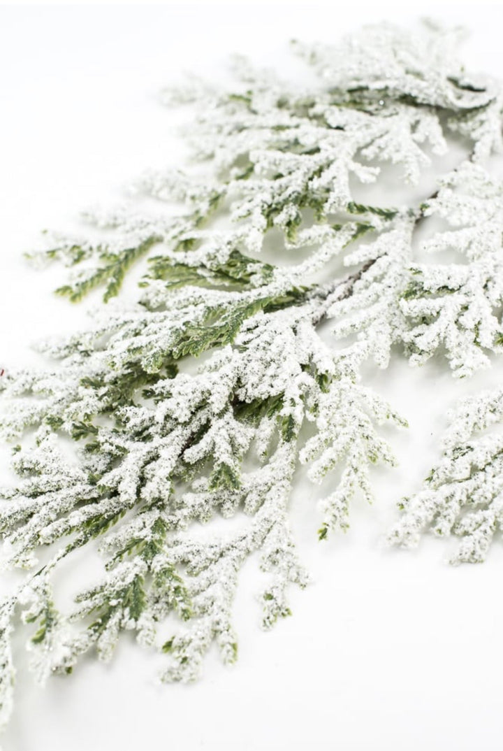 Winter flat cedar spray with snow - Greenery Marketgreenery82276snow