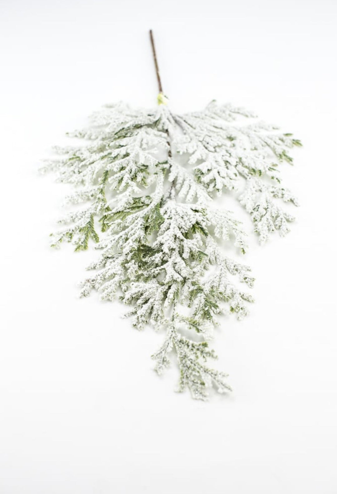 Winter flat cedar spray with snow - Greenery Marketgreenery82276snow