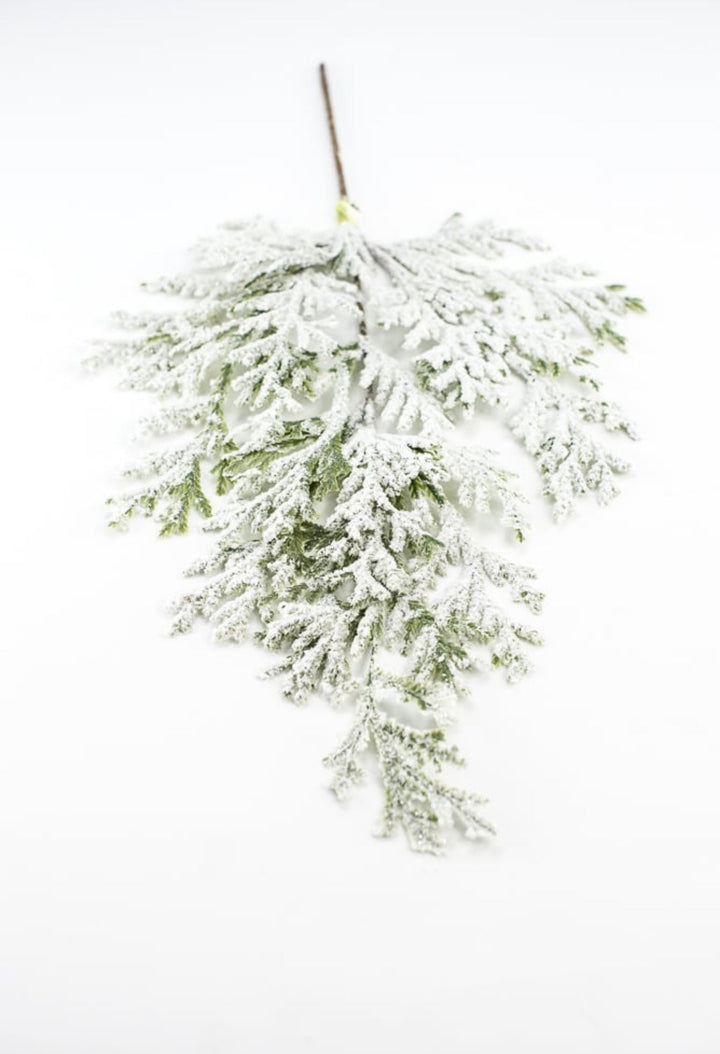 Winter flat cedar spray with snow - Greenery Marketgreenery82276snow
