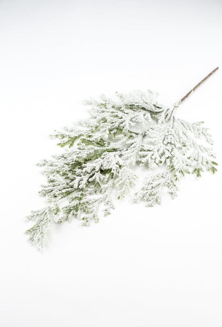 Winter flat cedar spray with snow - Greenery Marketgreenery82276snow