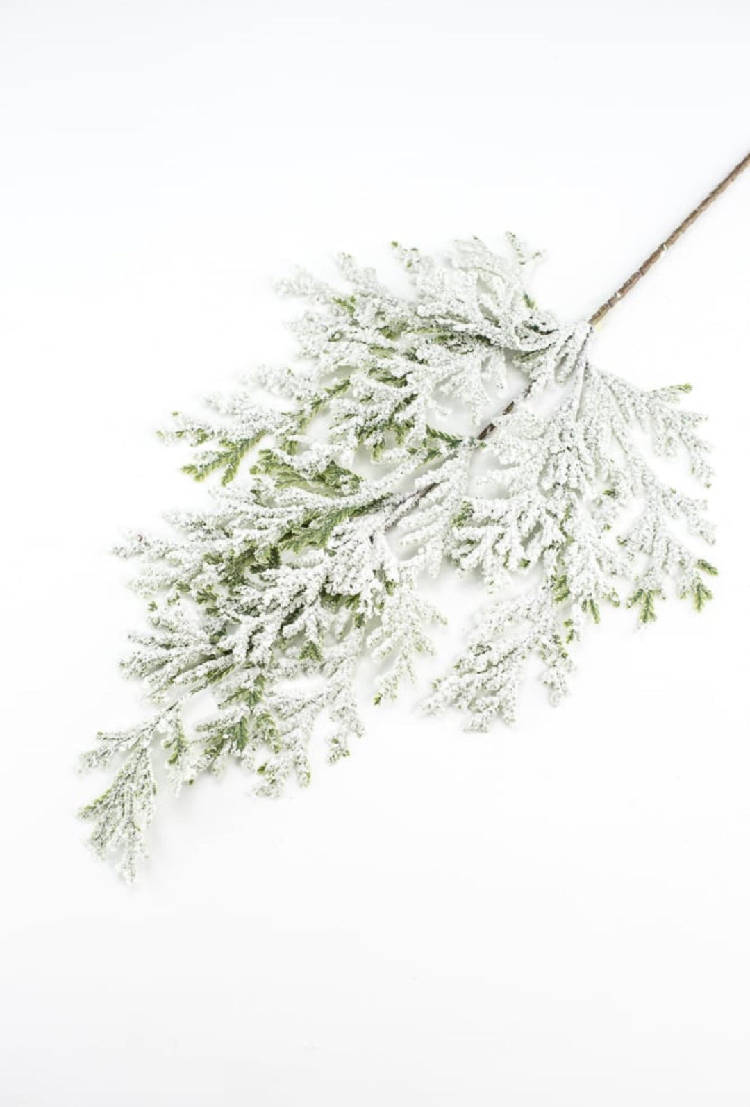 Winter flat cedar spray with snow - Greenery Marketgreenery82276snow