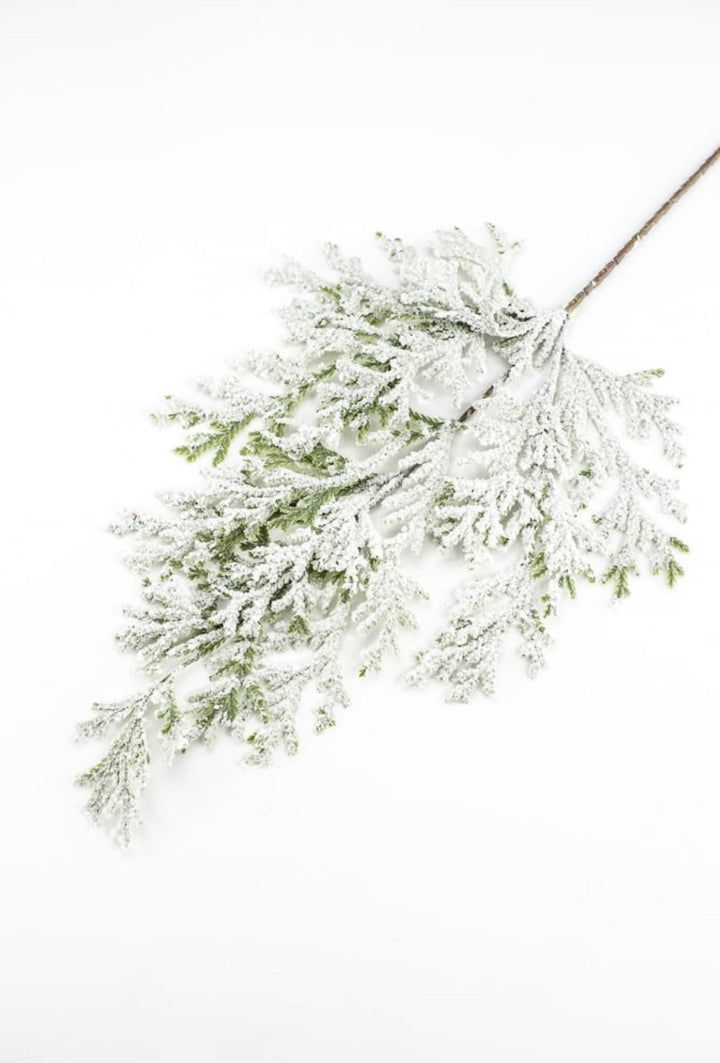 Winter flat cedar spray with snow - Greenery Marketgreenery82276snow