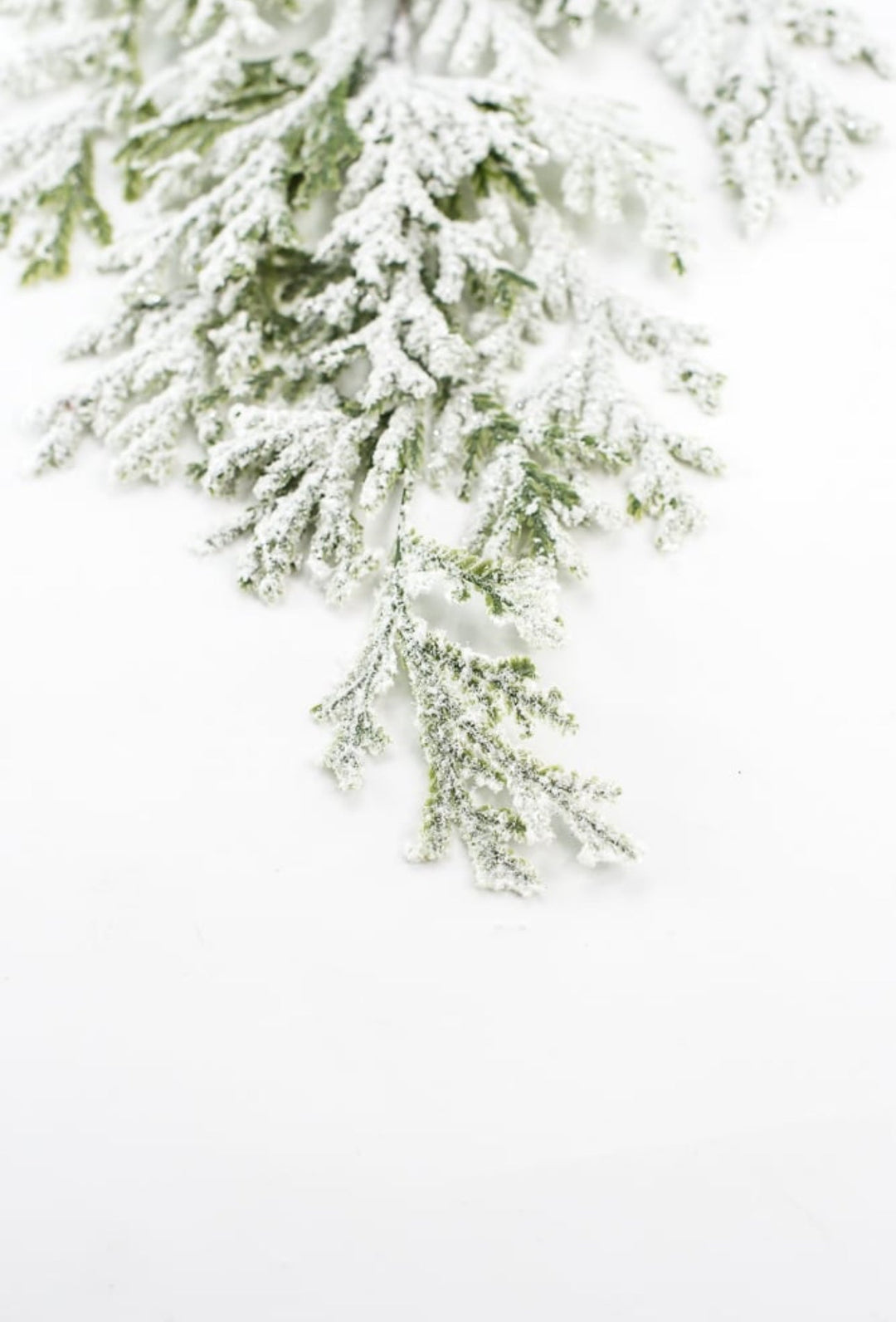 Winter flat cedar spray with snow - Greenery Marketgreenery82276snow