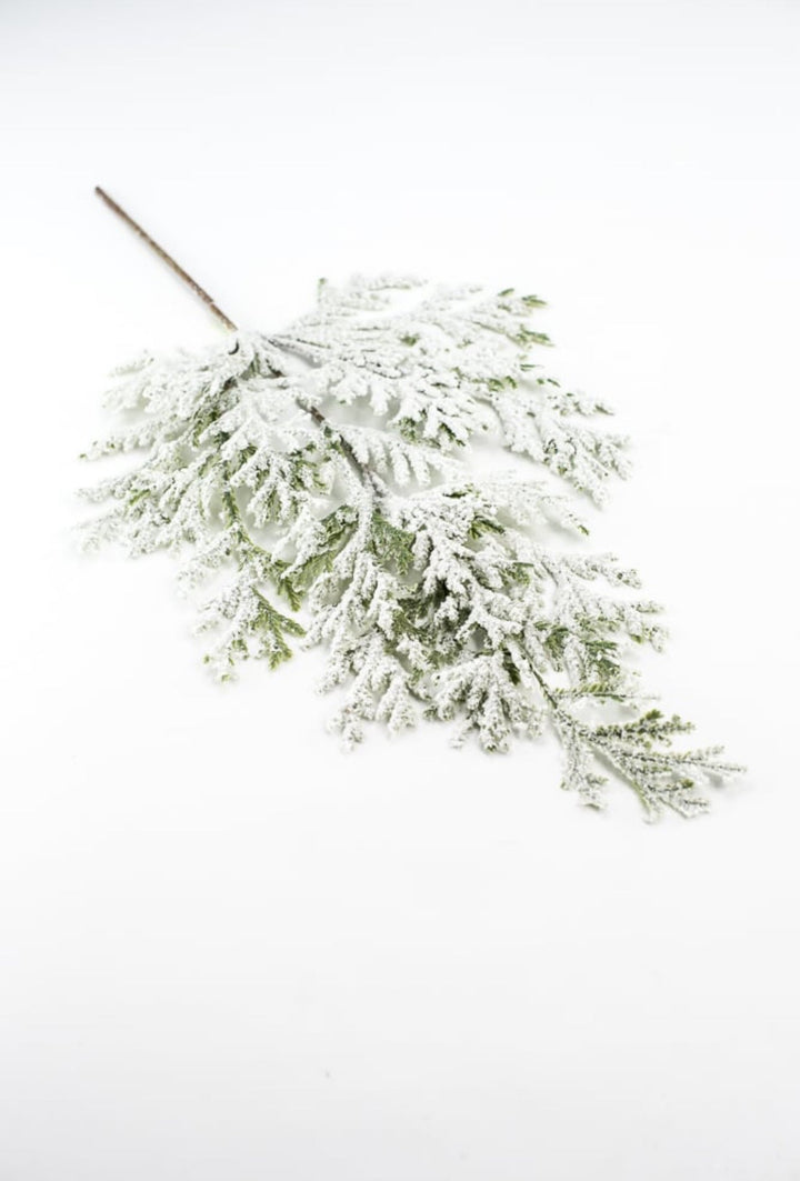 Winter flat cedar spray with snow - Greenery Marketgreenery82276snow