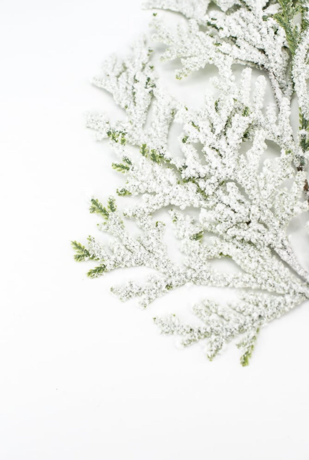 Winter flat cedar spray with snow - Greenery Marketgreenery82276snow