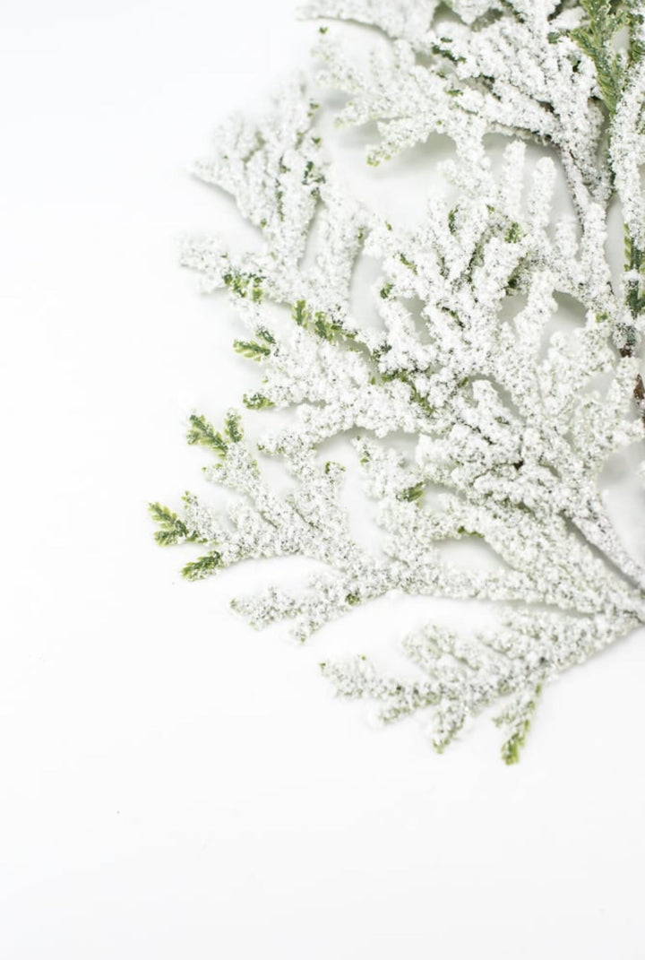 Winter flat cedar spray with snow - Greenery Marketgreenery82276snow
