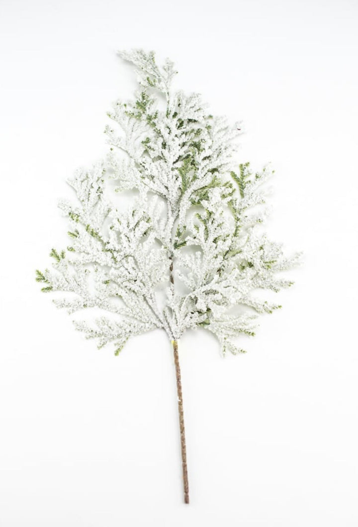 Winter flat cedar spray with snow - Greenery Marketgreenery82276snow