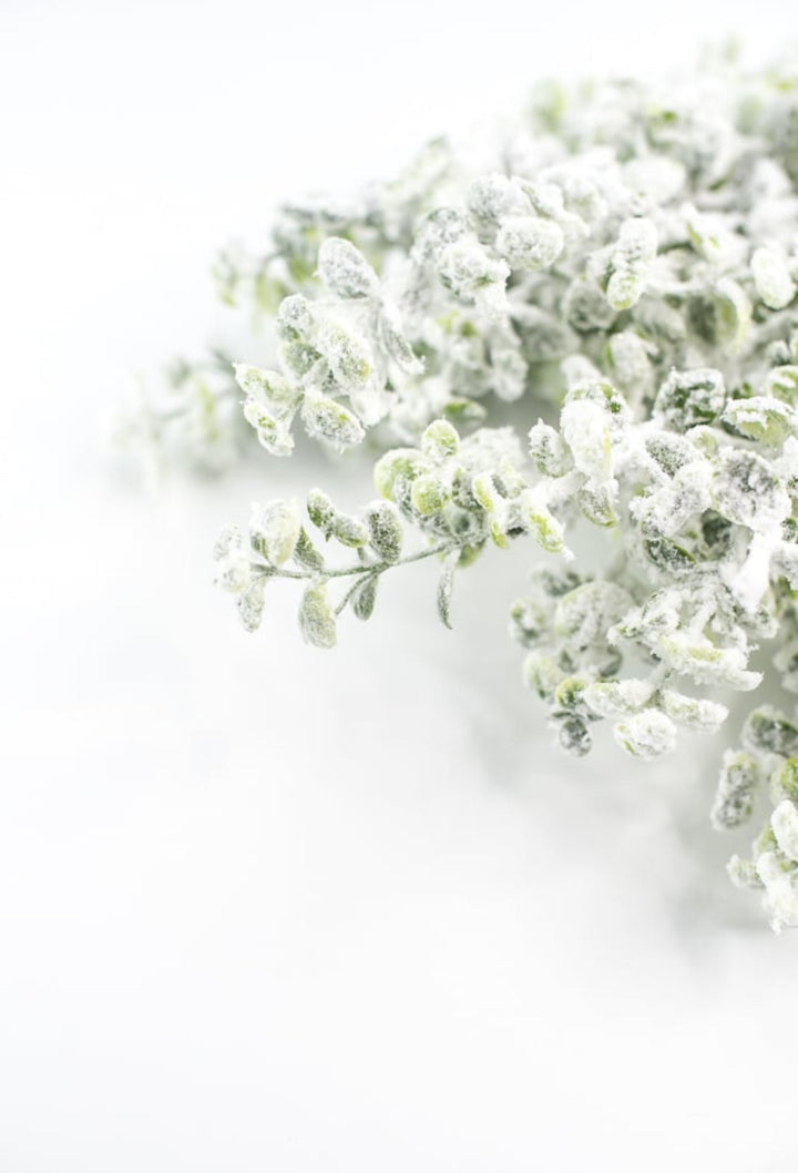 Winter flocked eucalyptus bush - Greenery MarketArtificial Flora84479