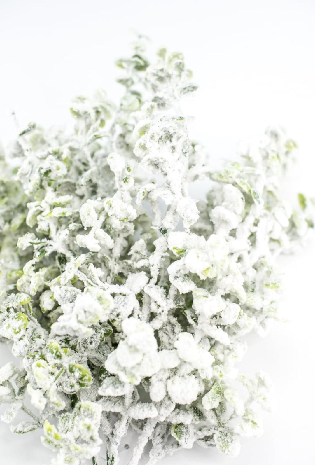Winter flocked eucalyptus bush - Greenery MarketArtificial Flora84479