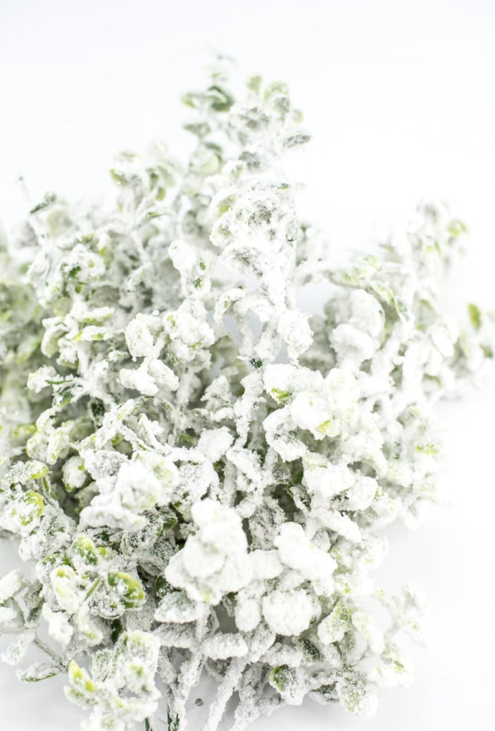 Winter flocked eucalyptus bush - Greenery MarketArtificial Flora84479