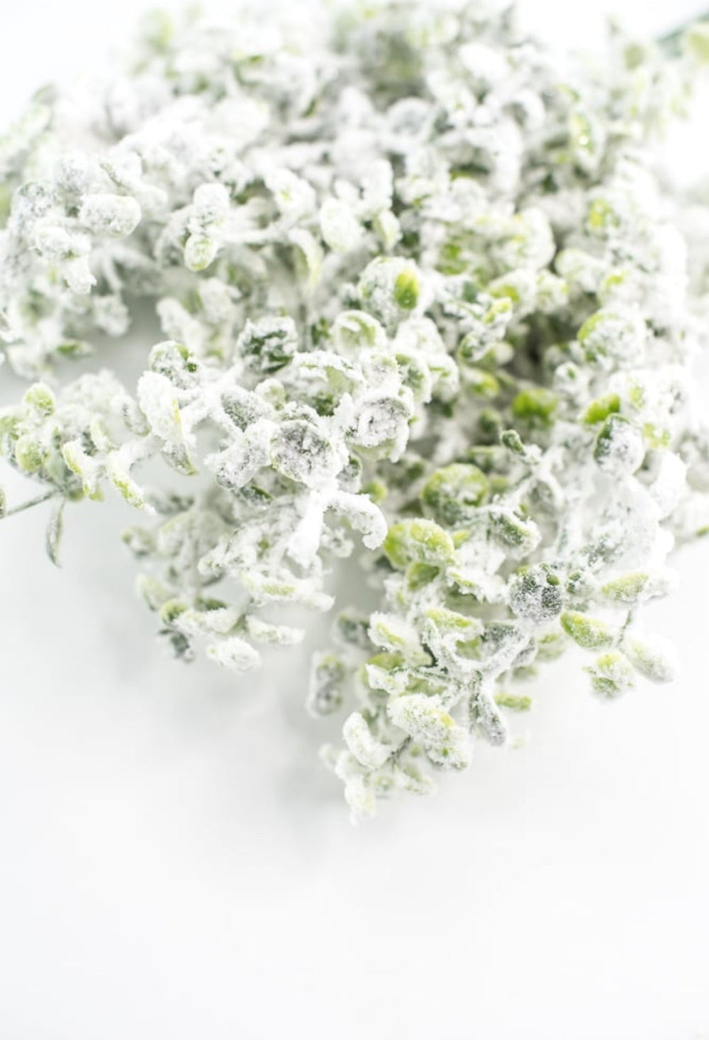 Winter flocked eucalyptus bush - Greenery MarketArtificial Flora84479