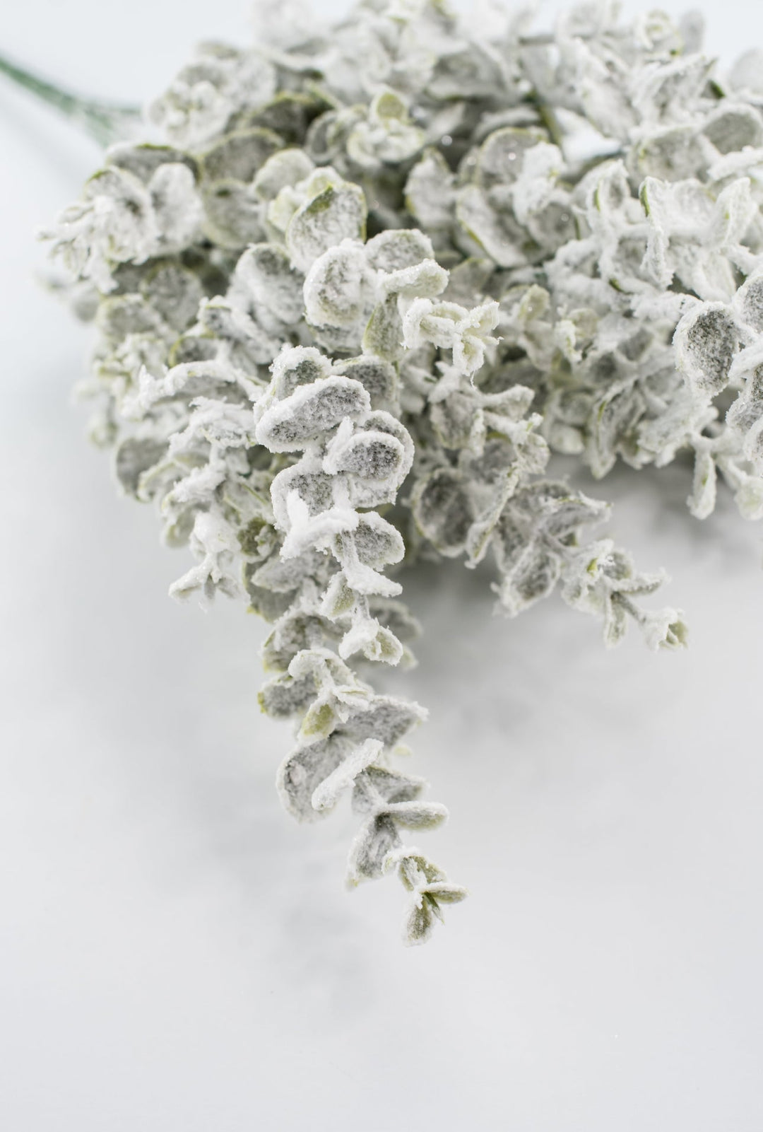 Winter heavy flocked eucalyptus bush - Greenery MarketArtificial Flora82940