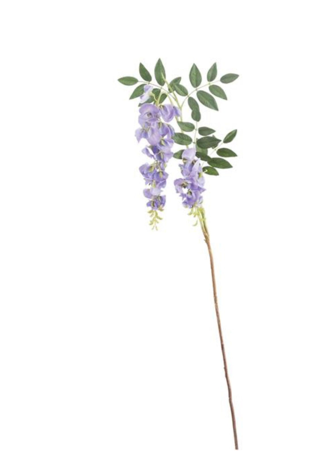 Wisteria spray - purple - Greenery Market6463 - LAV