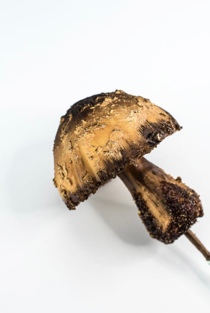 Woodland mushroom pick - 12” large - Greenery MarketMTX72905